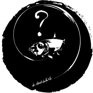 Dessin de Titich pour La Méchante Sardine, Marseille, "le sens de la vie?"